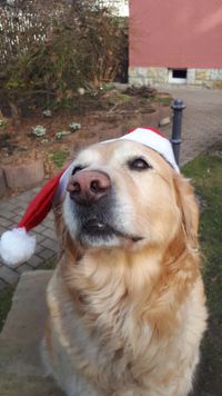 Lotta Weihnachtslook 13.11.17