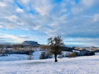 Blick zum Lilienstein 02