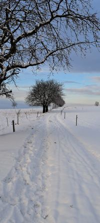 Wanderweg 01